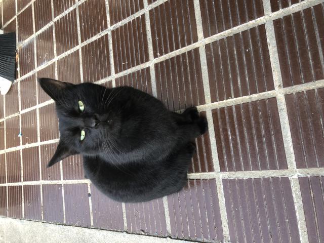 探しています