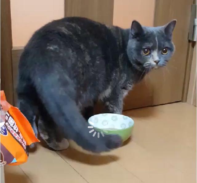 探しています