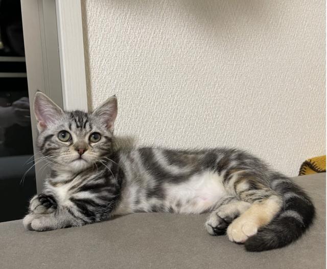 探しています
