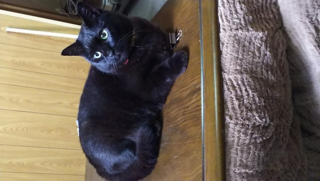 探しています