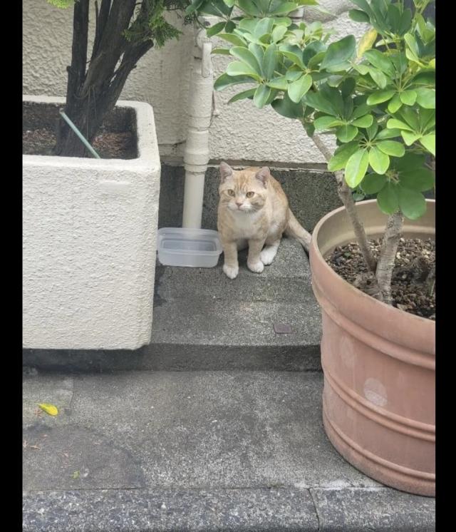 探しています