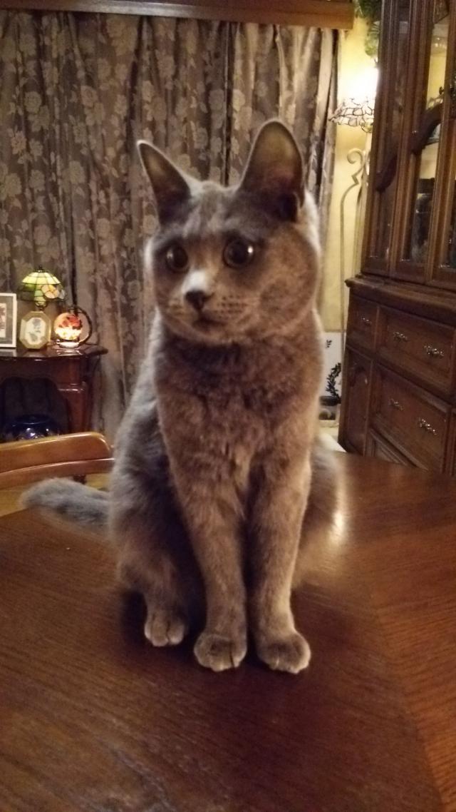 探しています
