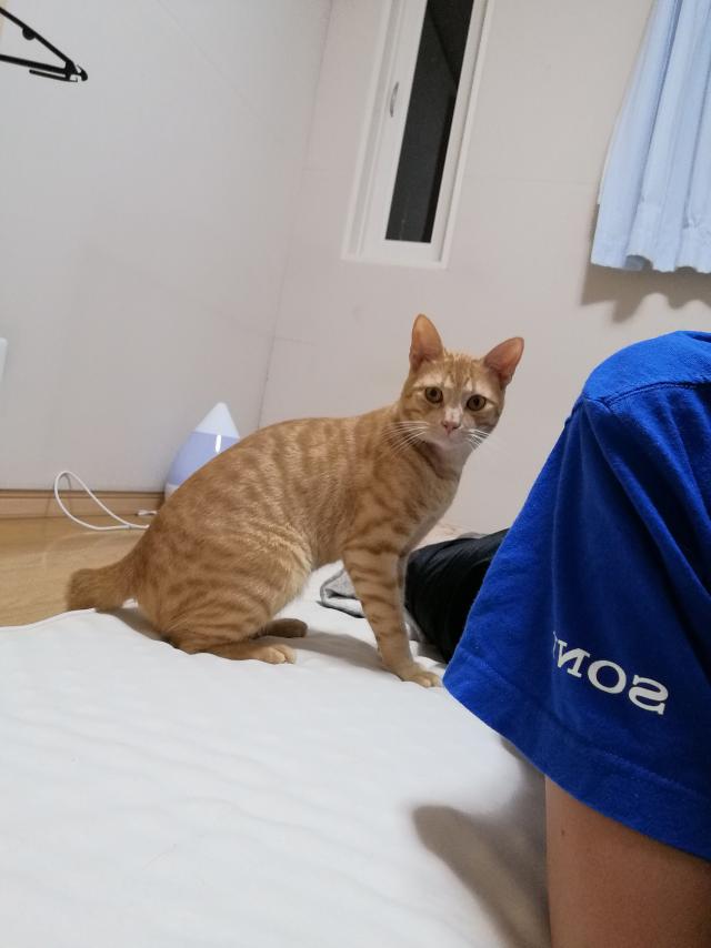 探しています