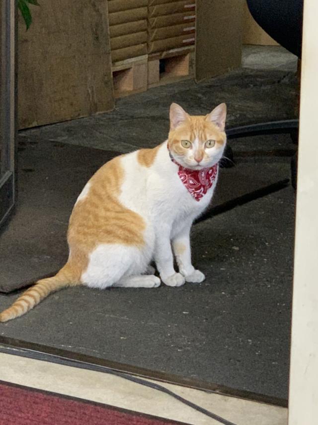 探しています
