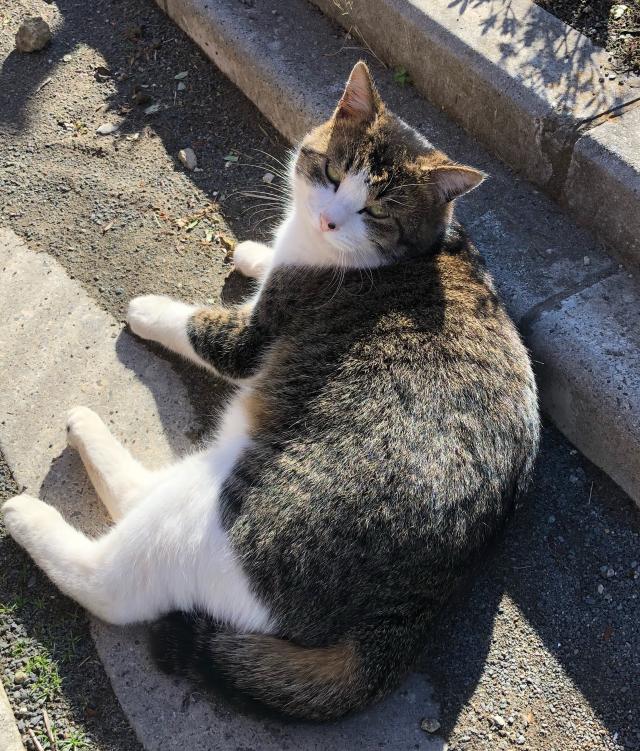 探しています