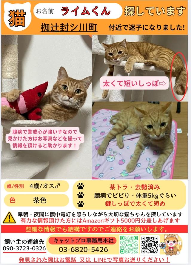 探しています