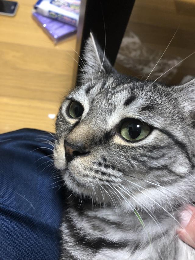 探しています