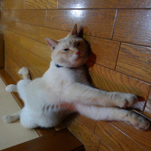 探しています