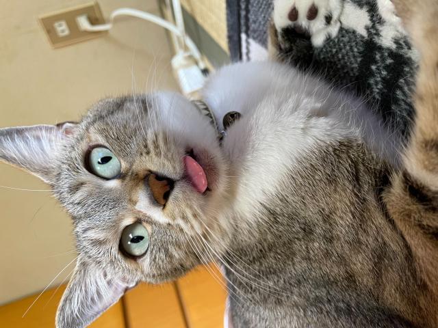 探しています