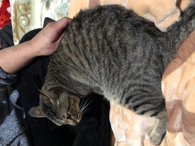 探しています