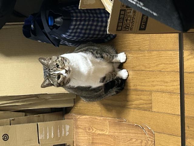 探しています
