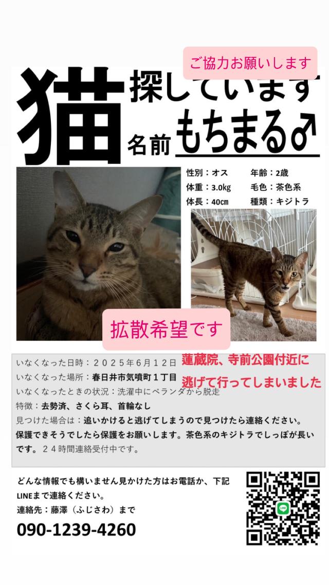 探しています