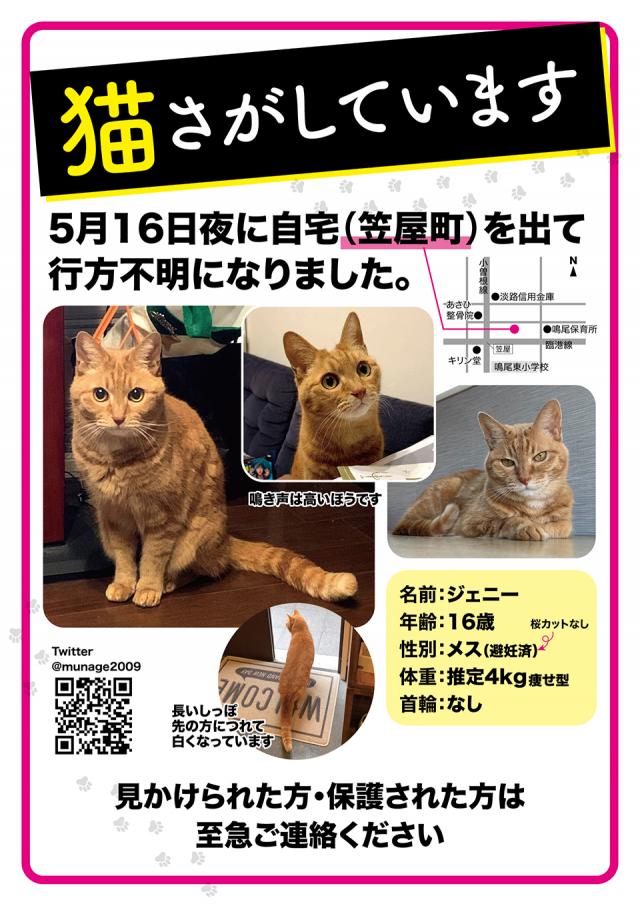 探しています
