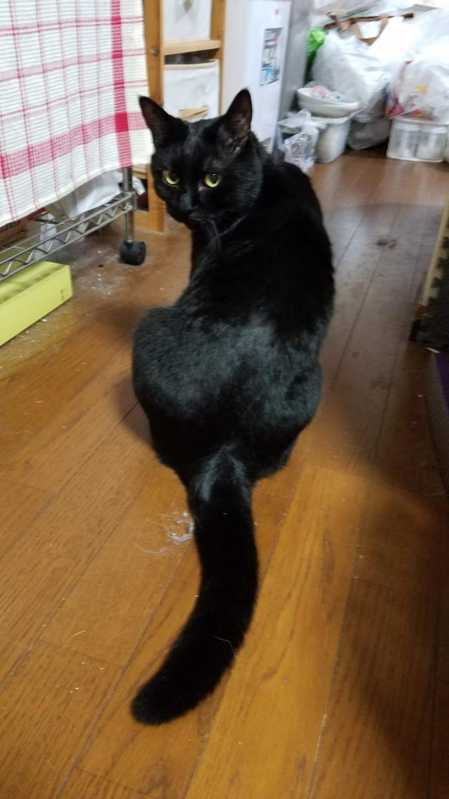 探しています