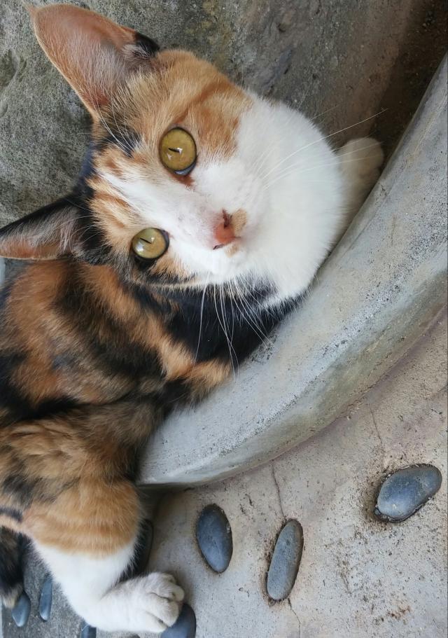 探しています