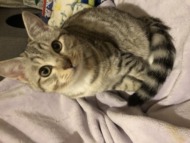 探しています
