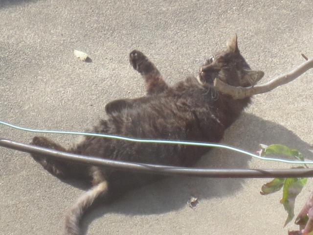 探しています