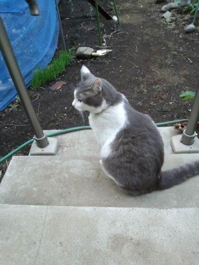 探しています