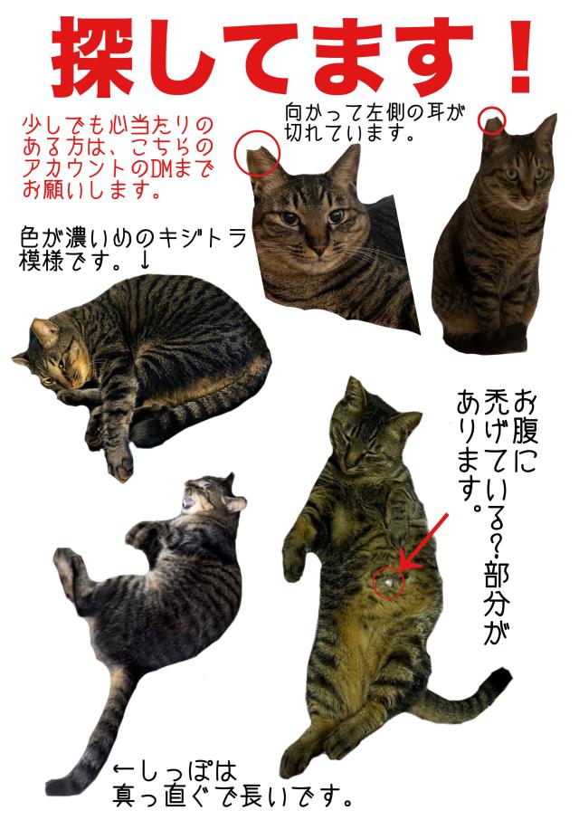 探しています