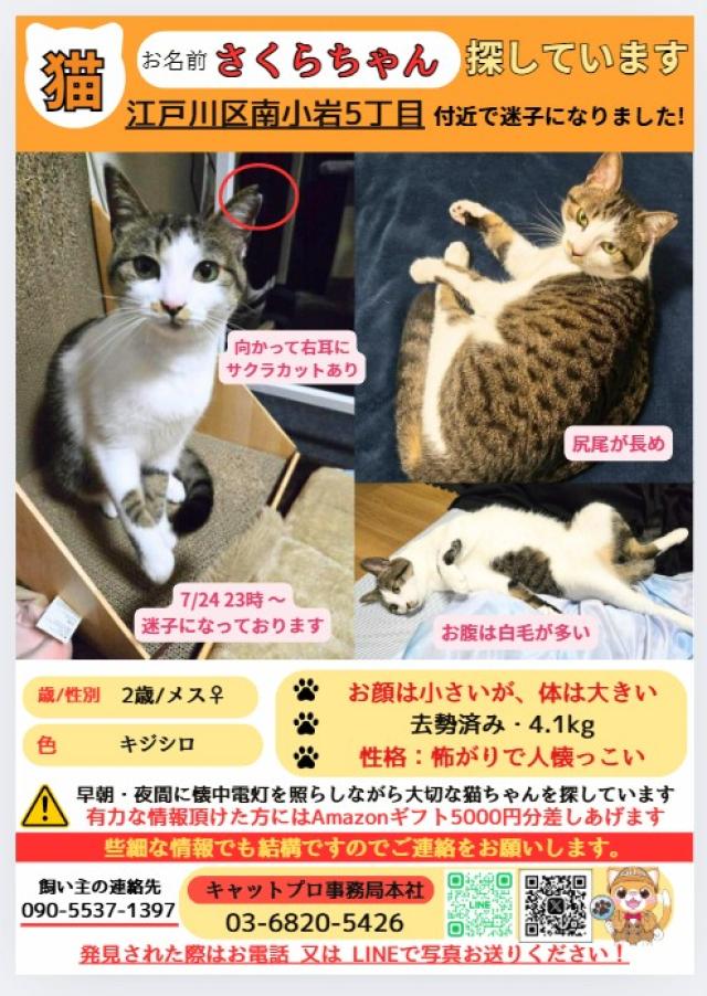 探しています