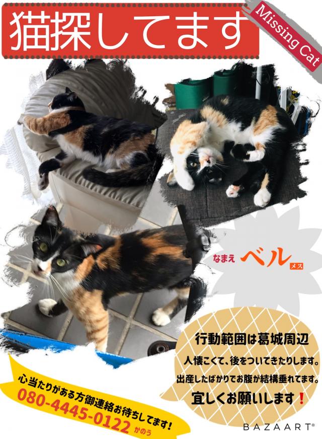 探しています