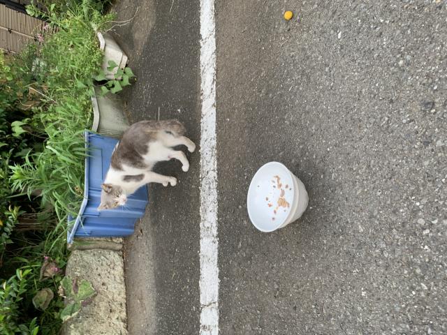 探しています