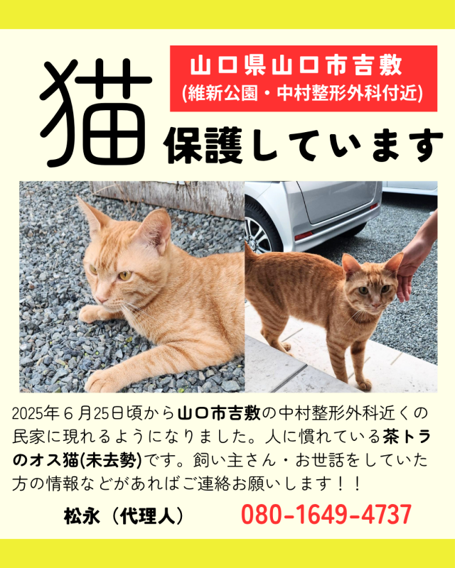 保護しました
