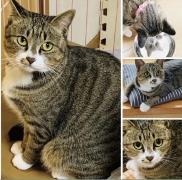 探しています
