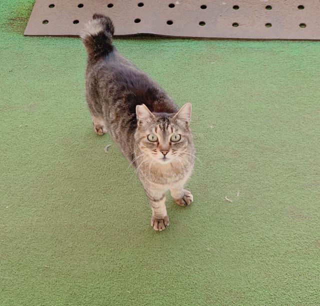 探しています