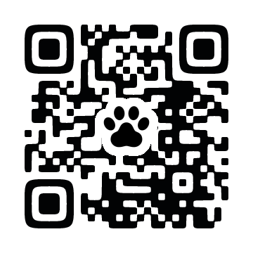 ネコサーチ | 迷子猫と保護情報の専用掲示板